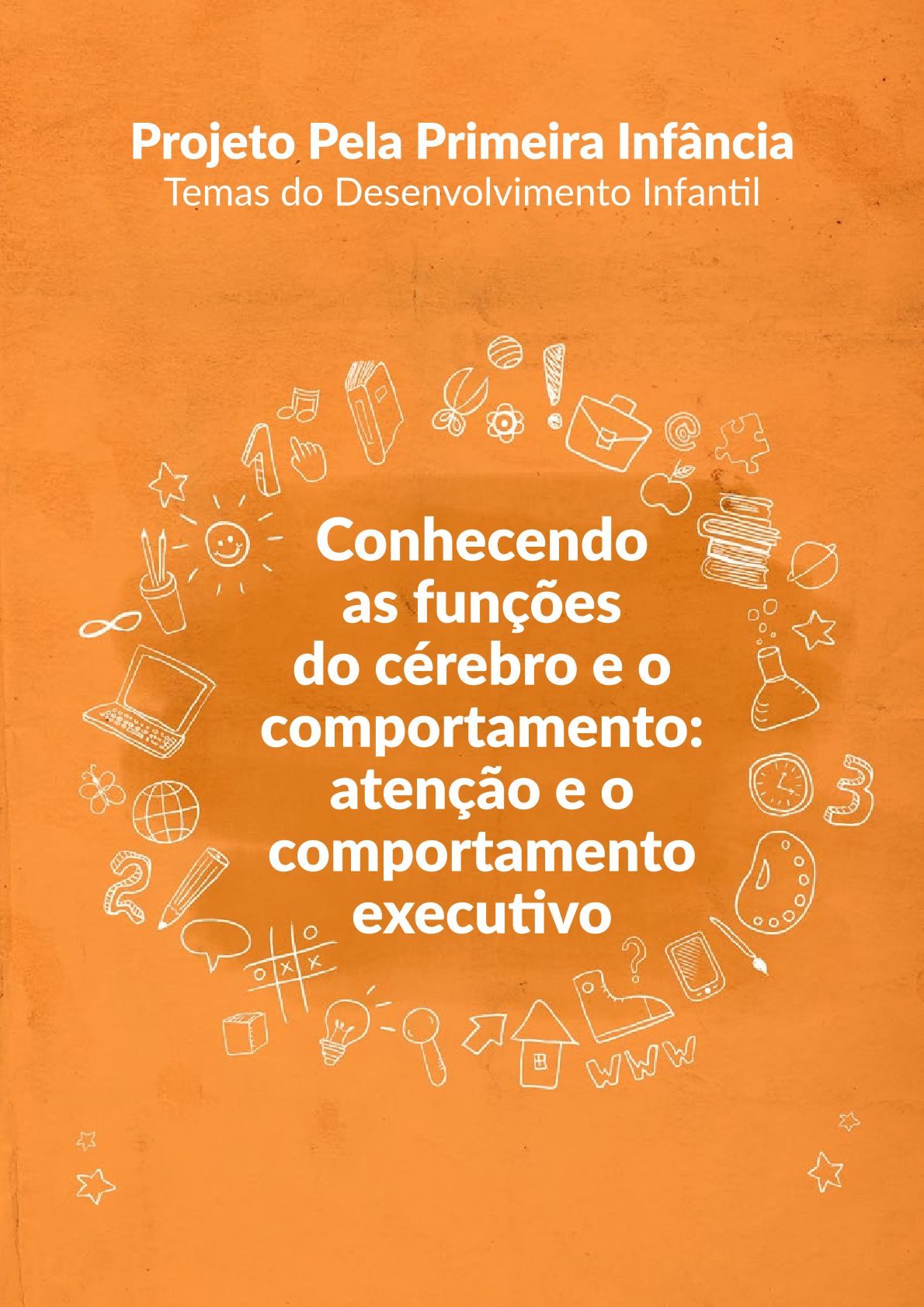 Conhecendo as funções do cérebro e o comportamento: atenção e o comportamento executivo