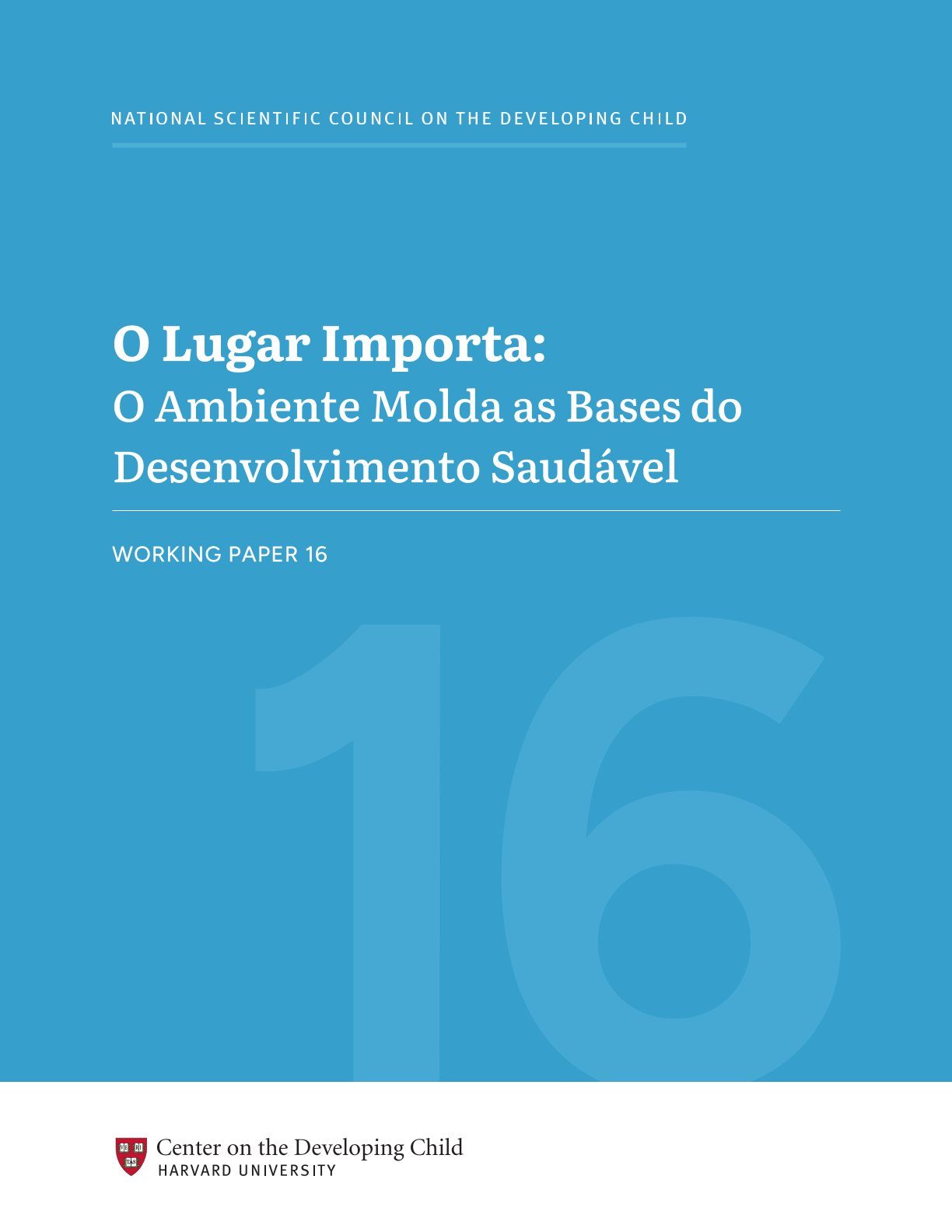 O ambiente molda as bases do desenvolvimento saudável